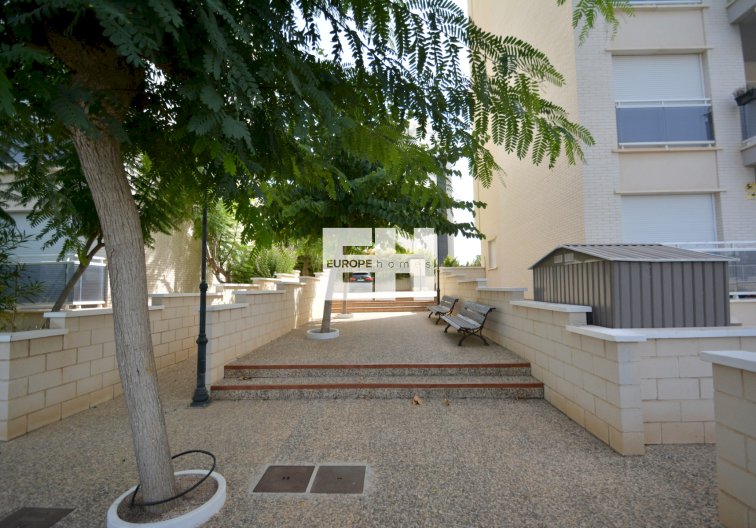Segunda mano - Apartamento  - Guardamar del Segura - Costa Blanca