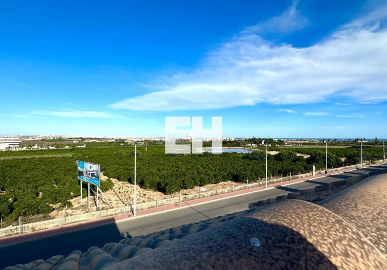 Segunda mano - town house - Torrevieja - La Siesta