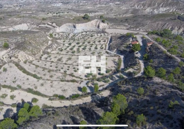Segunda mano - Finca - Abanilla - El Partidor