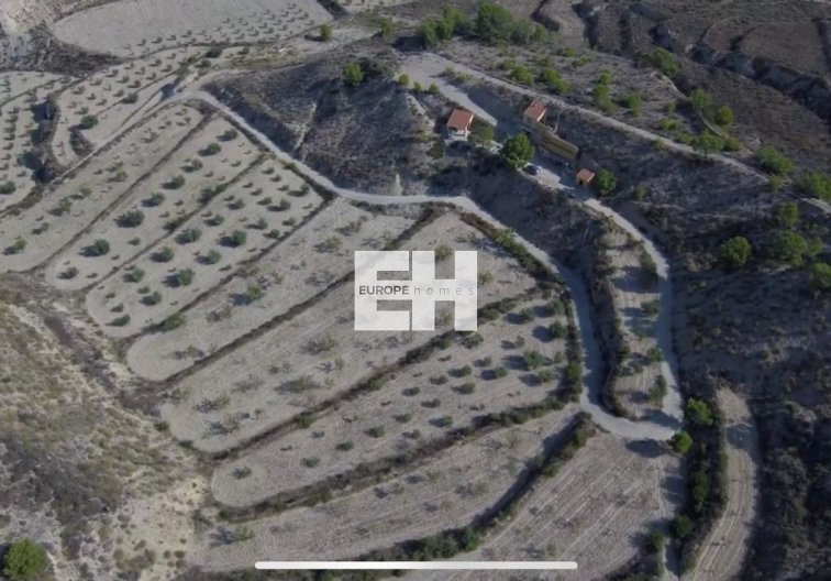 Segunda mano - Finca - Abanilla - El Partidor