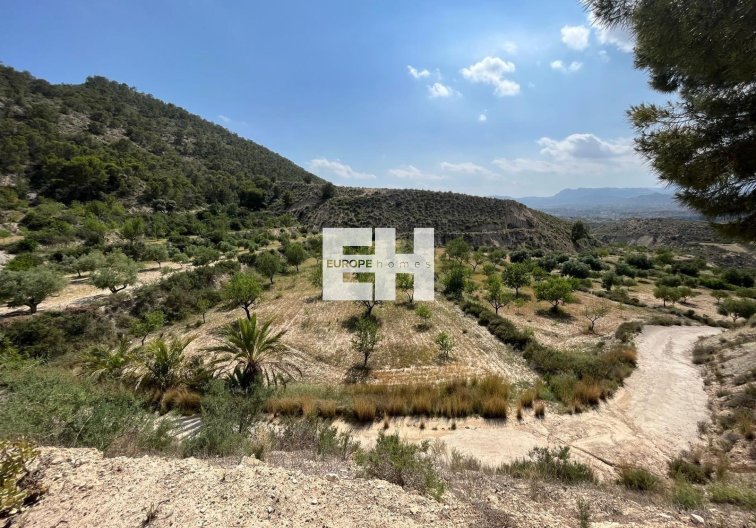 Segunda mano - Finca - Abanilla - El Partidor