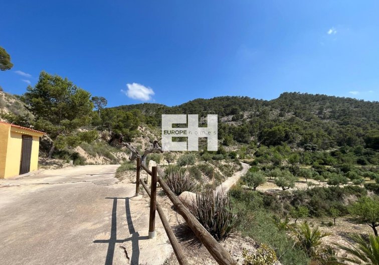 Segunda mano - Finca - Abanilla - El Partidor
