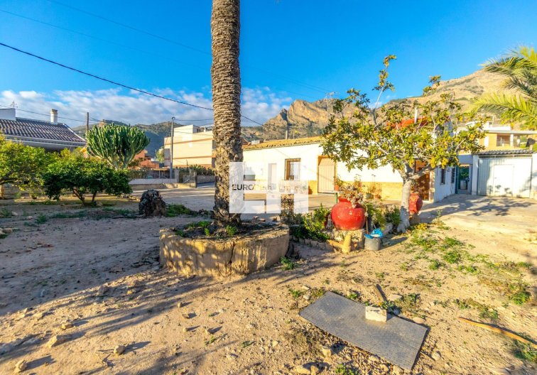 Segunda mano - Finca - Orihuela - Raiguero De Bonanza