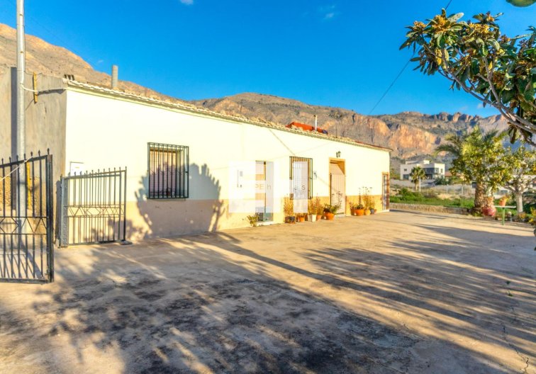 Segunda mano - Finca - Orihuela - Raiguero De Bonanza