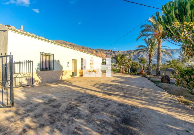 Segunda mano - Finca - Orihuela - Raiguero De Bonanza