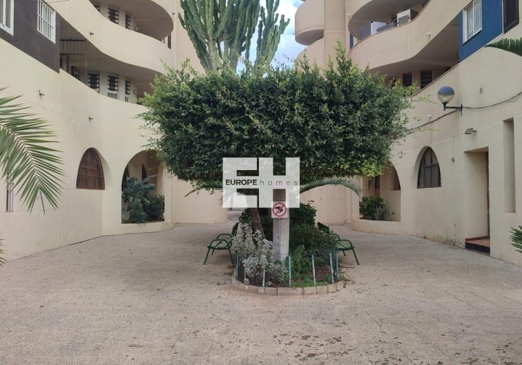 Segunda mano - Apartamento  - Torrevieja - La Veleta