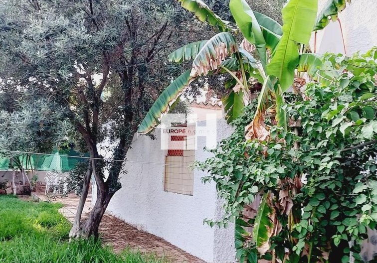 Segunda mano - villa - Orihuela Costa - Punta Prima