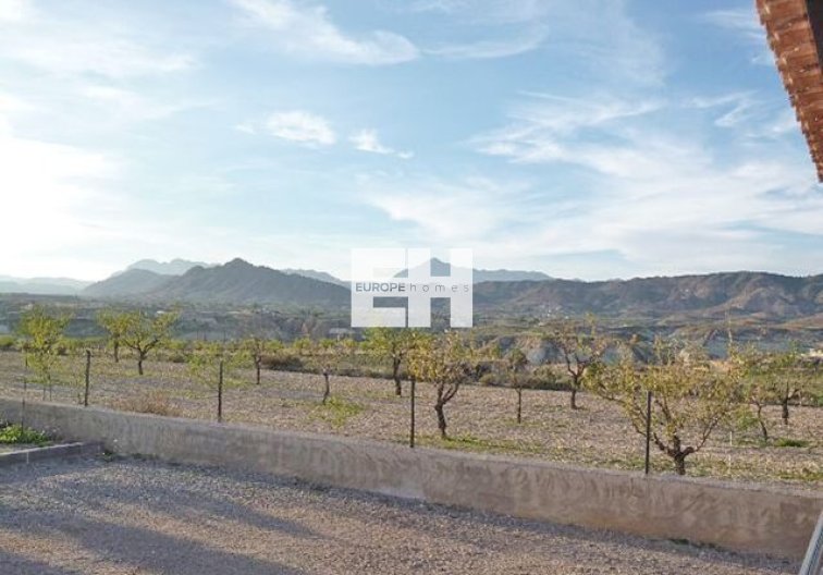 Segunda mano - Finca - Abanilla - Inland