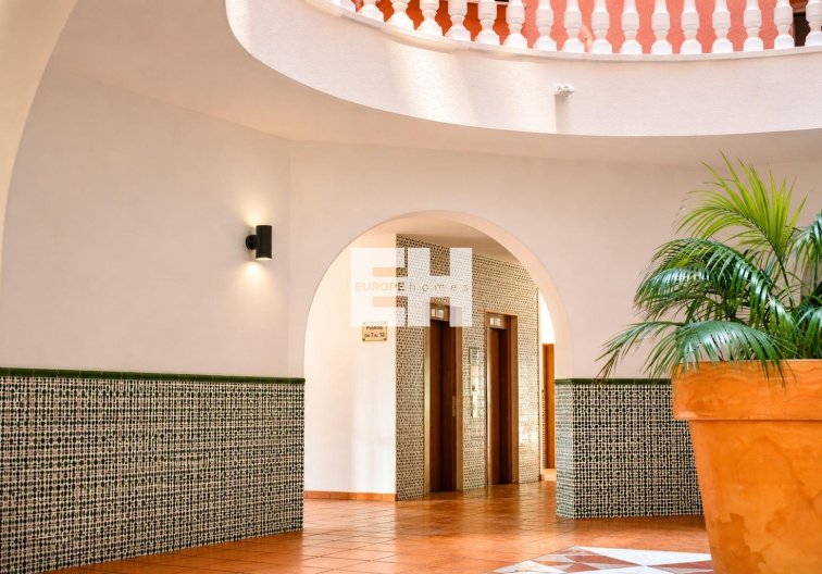 Segunda mano - Apartamento  - Torrevieja - Los Frutales