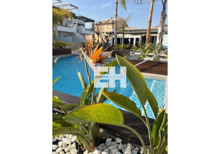 Segunda mano - Apartamento  - Orihuela Costa - Rocio Del Mar