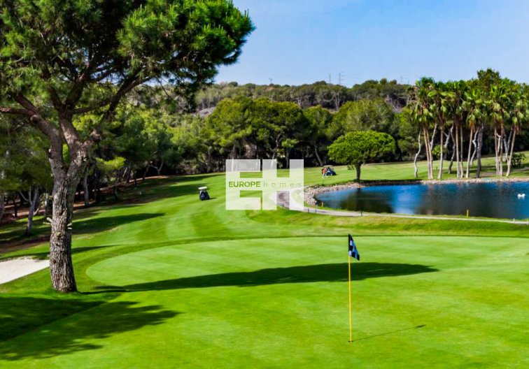 Segunda mano - Apartamento  - Cabo Roig - Costa Blanca