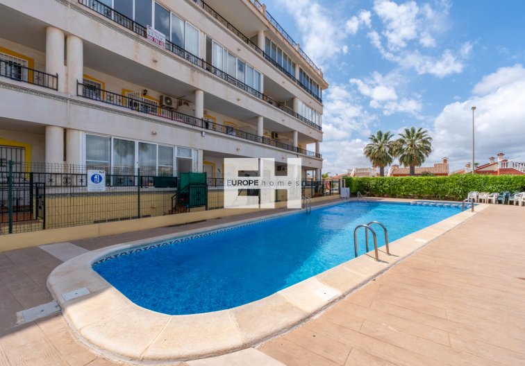 Segunda mano - Apartamento  - Playa Flamenca - Costa Blanca