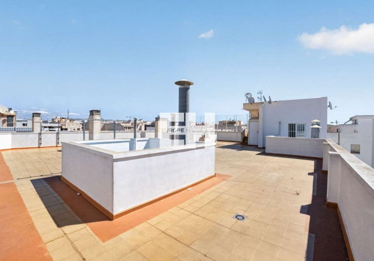 Segunda mano - Apartamento  - Torrevieja - Costa Blanca