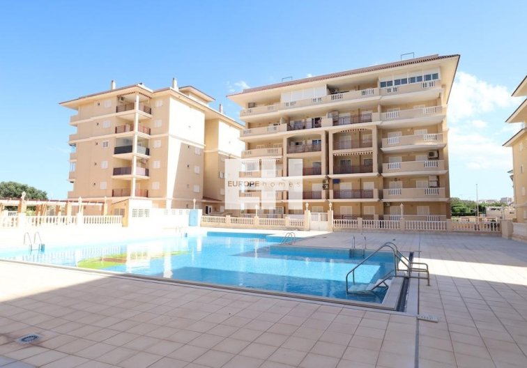 Segunda mano - Apartamento  - Torrevieja - Costa Blanca