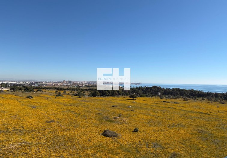 Segunda mano - Atico - Torrevieja - Punta Prima