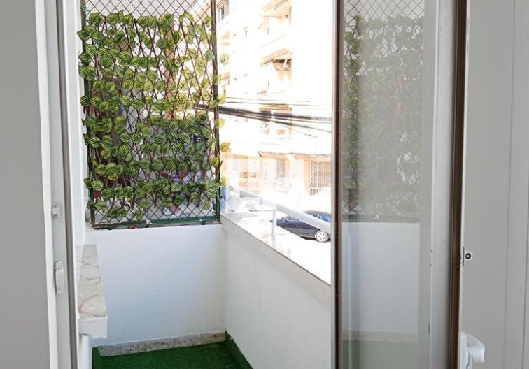 Segunda mano - Apartamento  - Torrevieja - El Molino