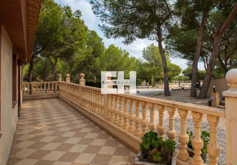 Segunda mano - Finca - Torremendo - Costa Blanca