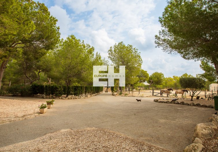 Segunda mano - Finca - Torremendo - Costa Blanca