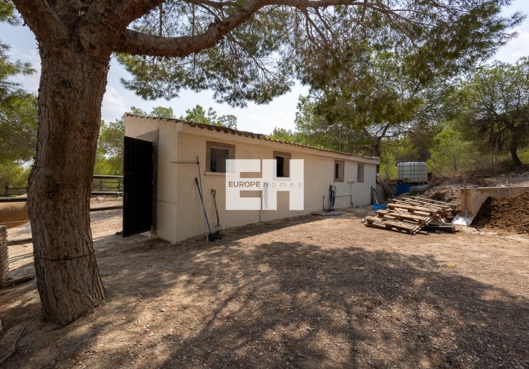 Segunda mano - Finca - Torremendo - Costa Blanca