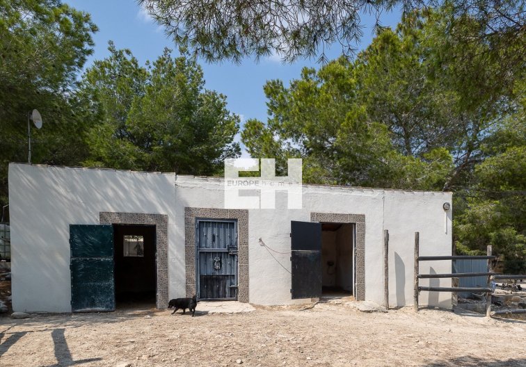 Segunda mano - Finca - Torremendo - Costa Blanca