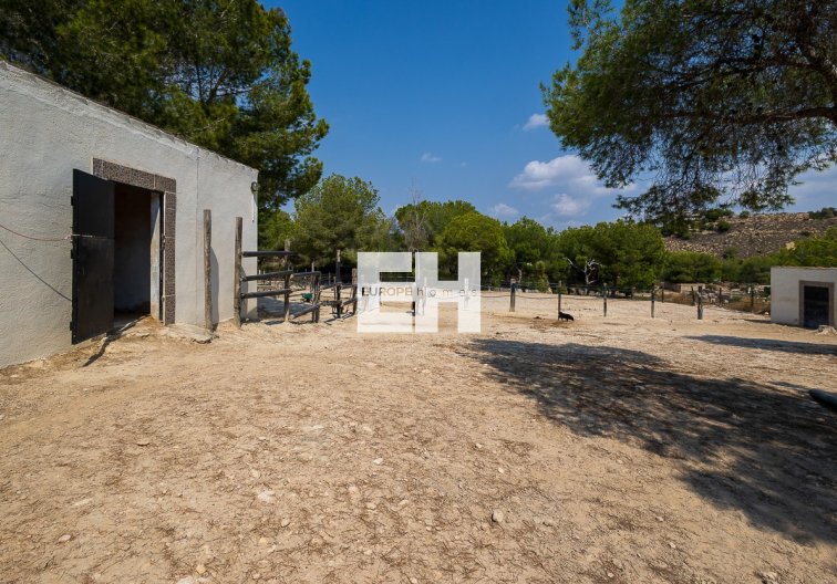 Segunda mano - Finca - Torremendo - Costa Blanca