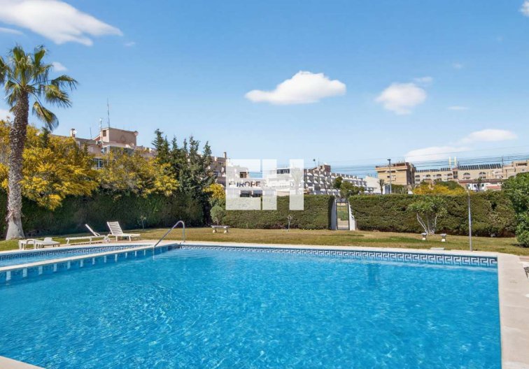 Segunda mano - Apartamento  - Punta Prima - Costa Blanca