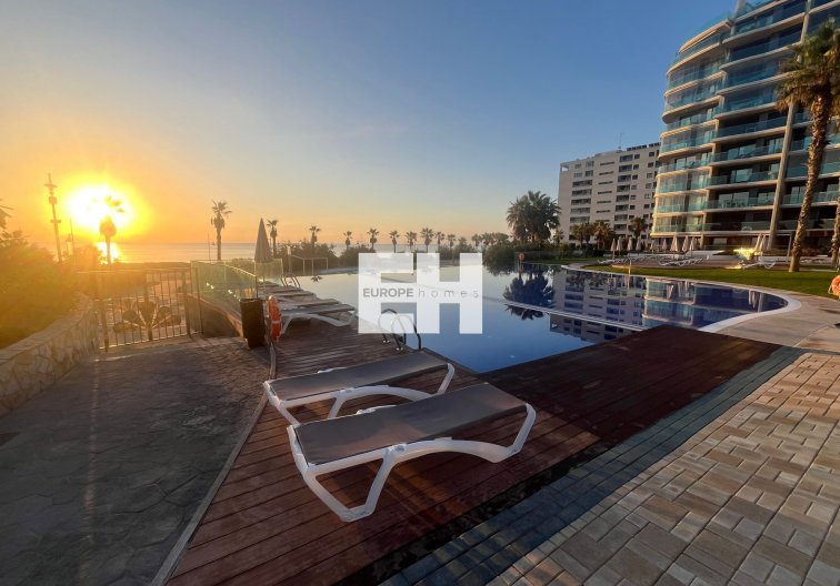 Segunda mano - Apartamento  - Punta Prima - Costa Blanca