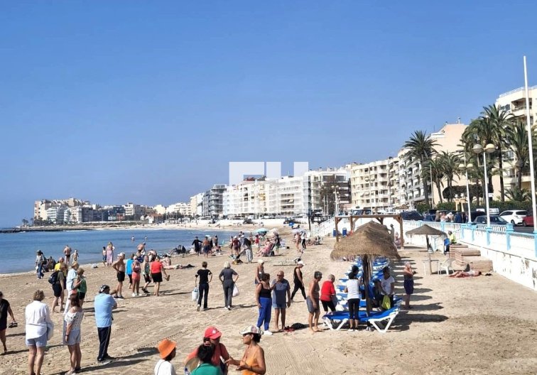 Segunda mano - Apartamento  - Torrevieja - Centro