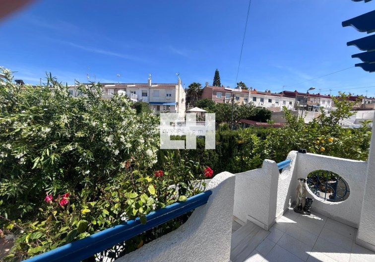 Segunda mano - Semi Detached - Torrevieja - Los Balcones 