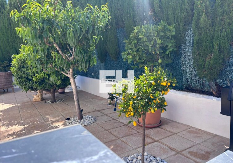 Segunda mano - Semi Detached - Torrevieja - Los Balcones 