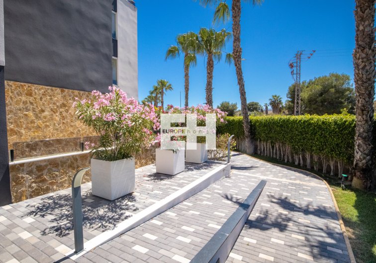 Segunda mano - Penthouse Penthouse - Los Altos - AMANECER
