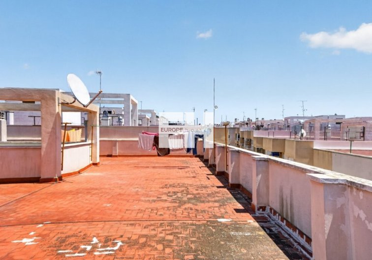 Segunda mano - Apartamento  - Torrevieja - Costa Blanca