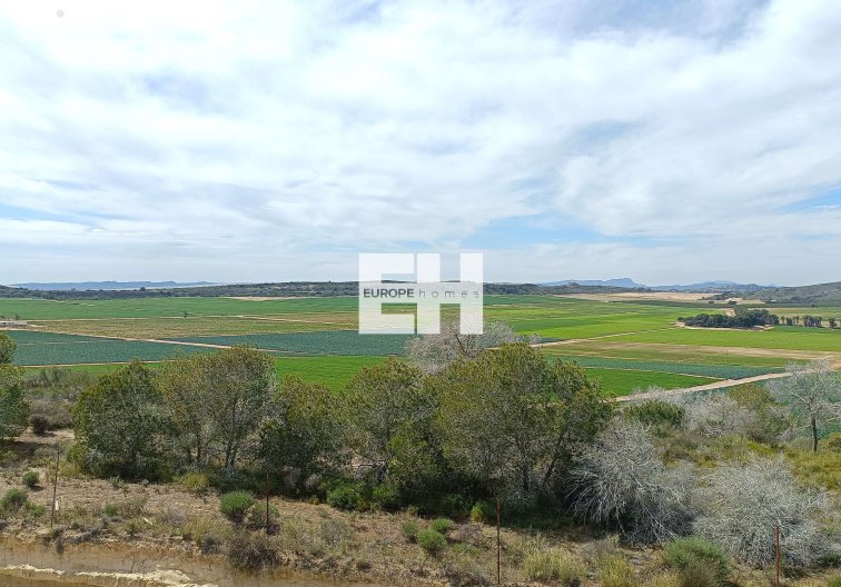 Segunda mano - villa - Algorfa - Inland
