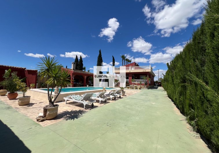Segunda mano - Finca - Dolores - Comunidad Valenciana