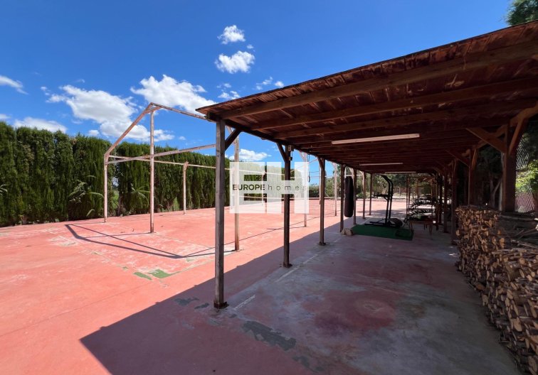 Segunda mano - Finca - Dolores - Comunidad Valenciana