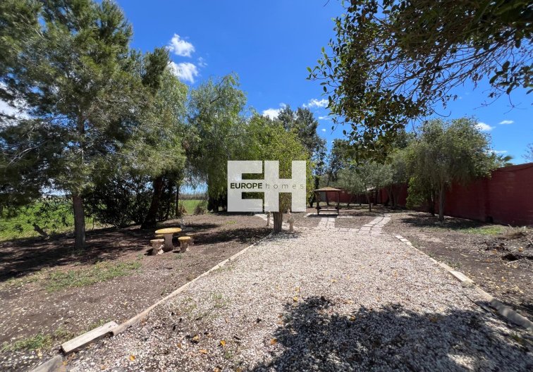 Segunda mano - Finca - Dolores - Comunidad Valenciana