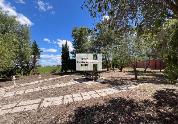 Segunda mano - Finca - Dolores - Comunidad Valenciana