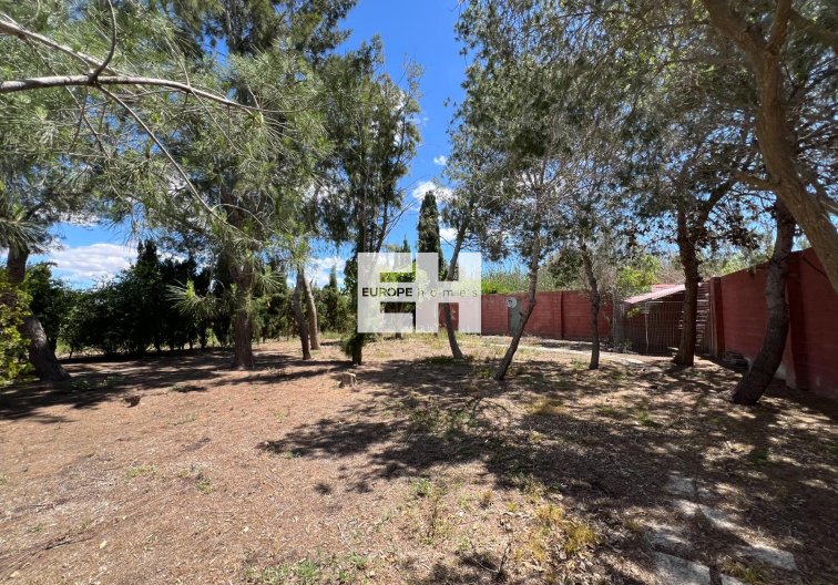 Segunda mano - Finca - Dolores - Comunidad Valenciana