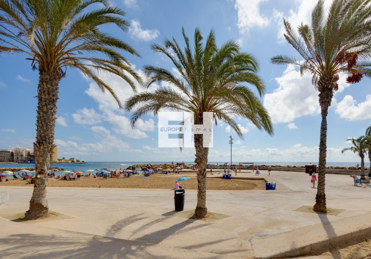 Revente - Bungalow - Torrevieja - Nueva Torrevieja