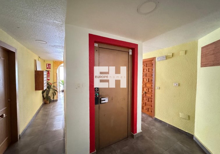 Segunda mano - Apartamento  - Torrevieja - Centro