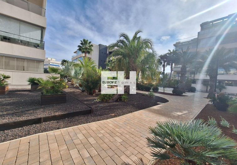 Segunda mano - Apartamento  - Orihuela Costa - Los Dolses