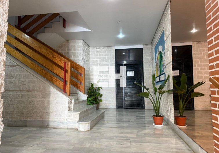 Segunda mano - Apartamento  - Torrevieja - Centro