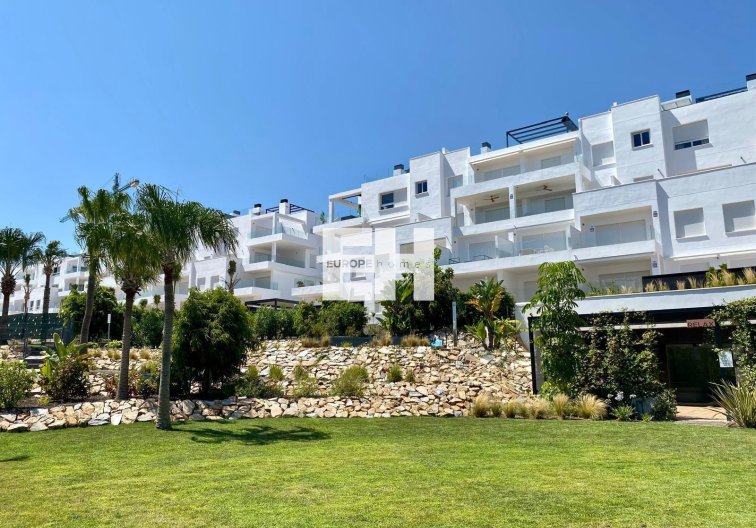 Segunda mano - Atico - Torrevieja - Punta Prima