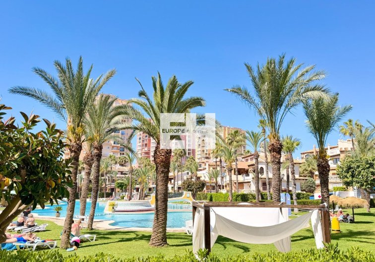 Segunda mano - Apartamento  - Torrevieja - Aldea Del Mar