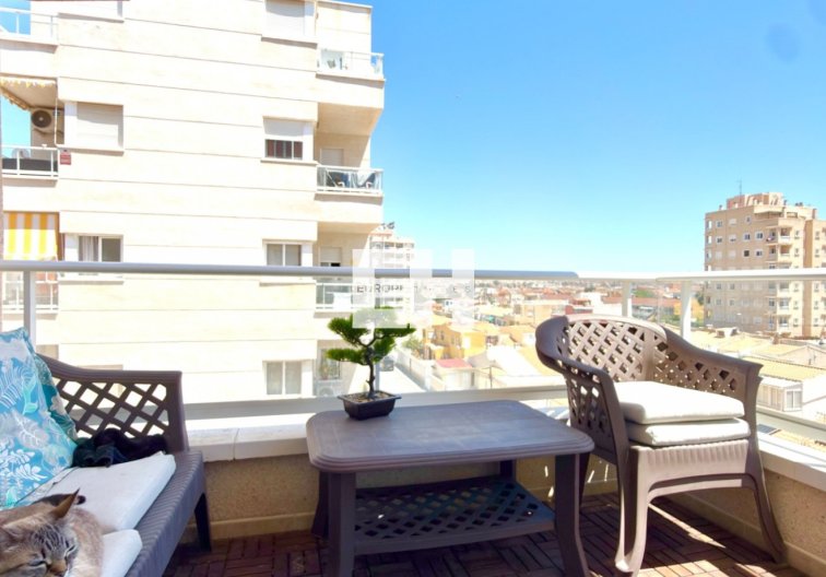 Segunda mano - Apartamento  - Torrevieja - Costa Blanca
