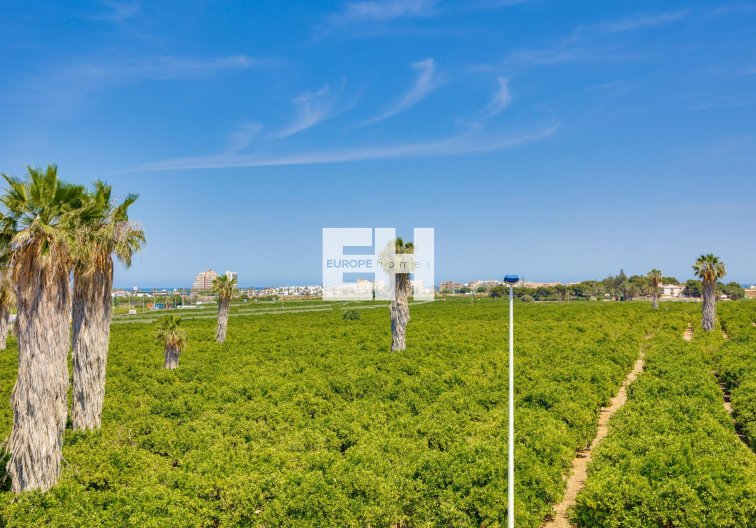 Segunda mano - town house - Torrevieja - Los Balcones 