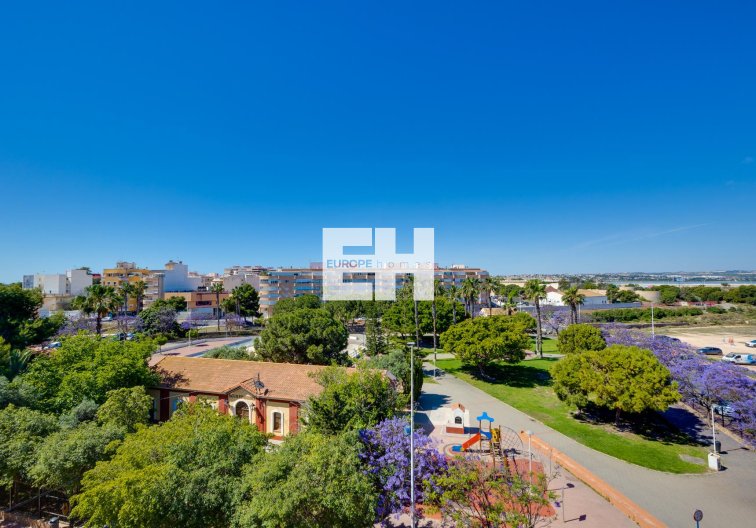 Segunda mano - Apartamento  - Torrevieja - Costa Blanca