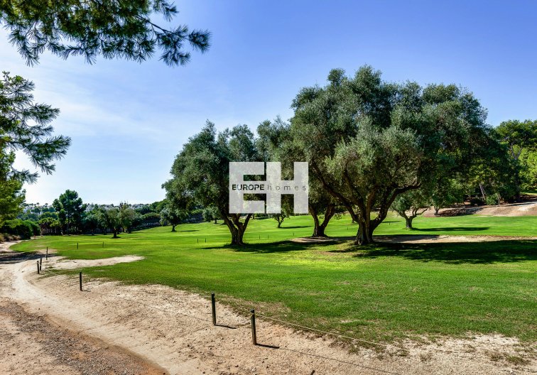 Segunda mano - villa - Villamartin - Costa Blanca