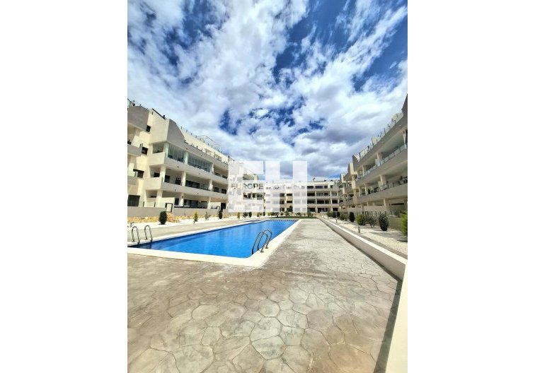 Segunda mano - Apartamento  - Orihuela Costa - Villamartín