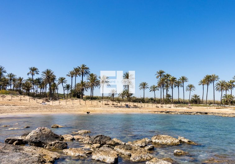 Segunda mano - Bungalow - Torrevieja - Costa Blanca